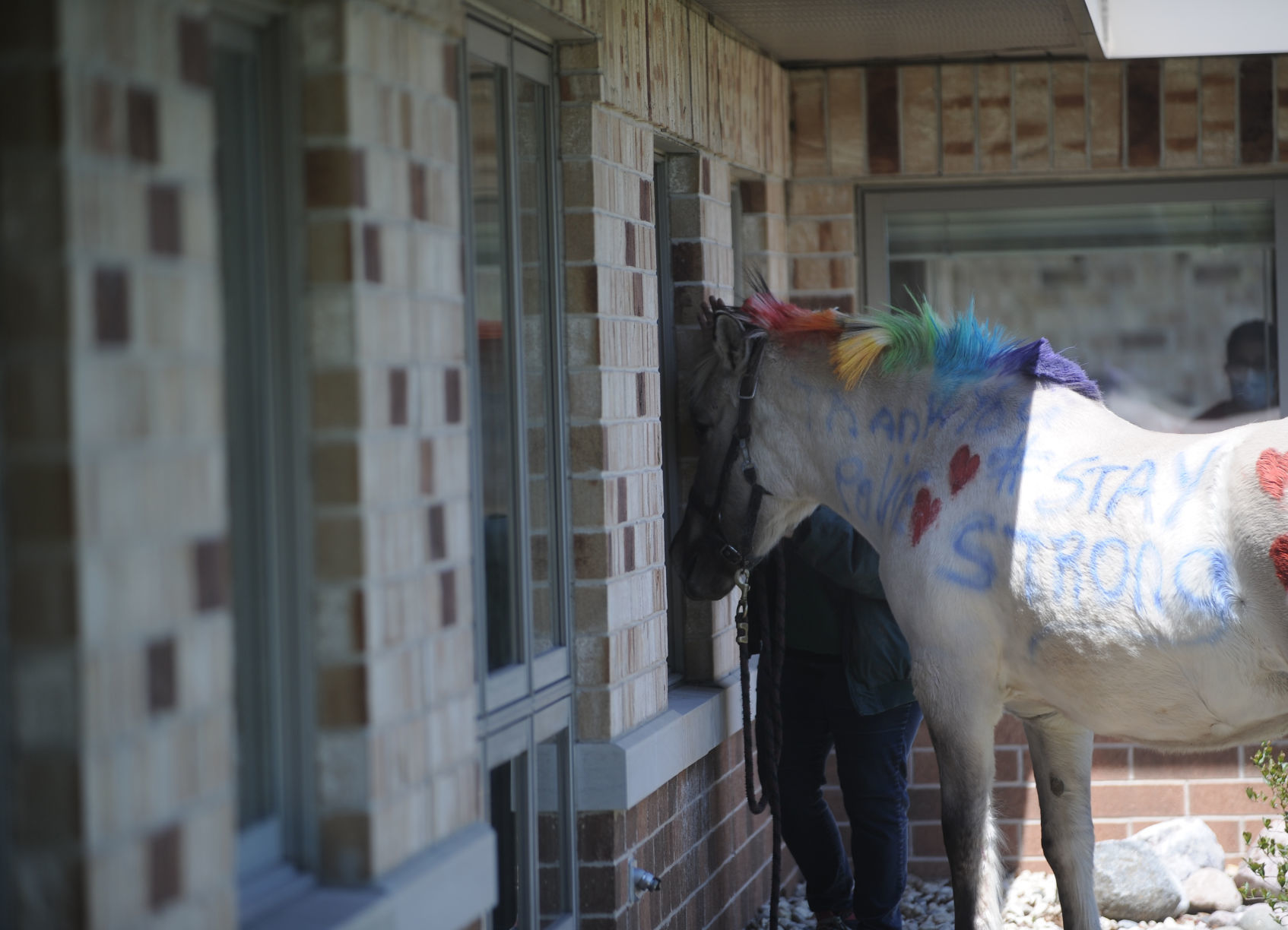 HORSES AT NURSING HOME